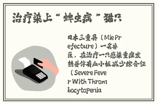 少女视频观看片TV哔哩哔哩